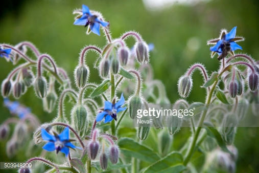 Photo by NevaF/iStock / Getty Images