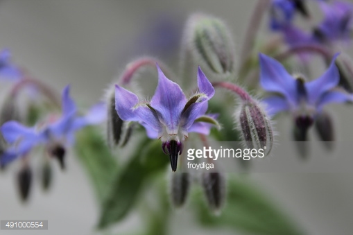 Photo by froydiga/iStock / Getty Images