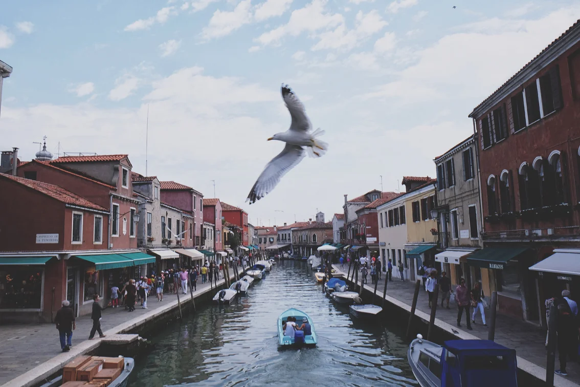 Photo 27-05-2016 10 33 11.jpg