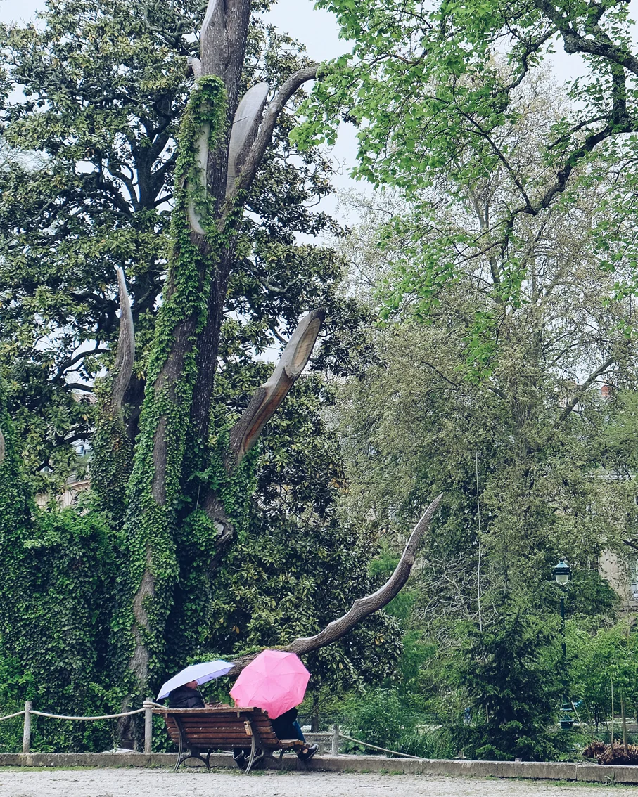 Photo 17-04-2016 11 04 09.jpg