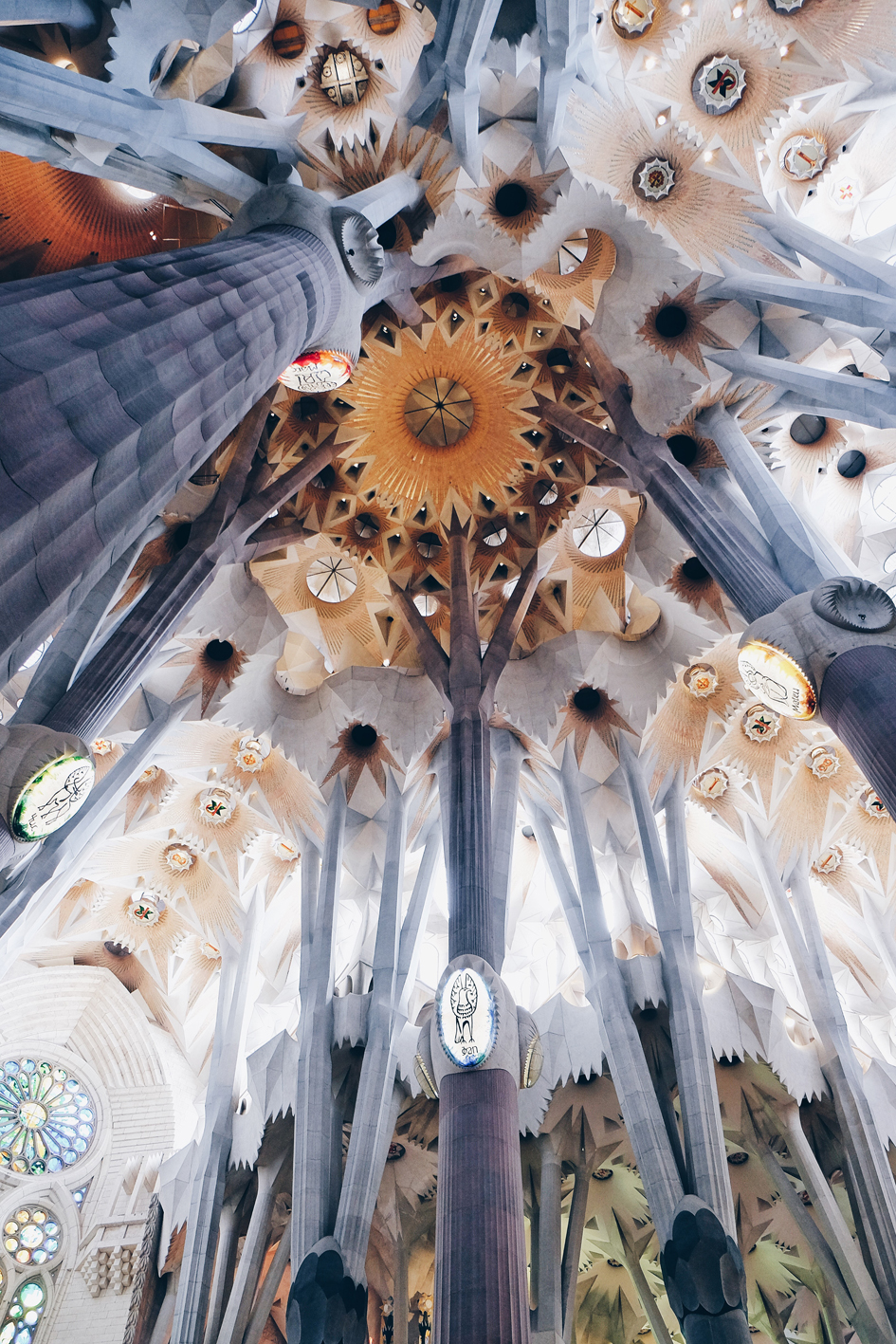 Photo 02-08-2016 10 50 03.jpg