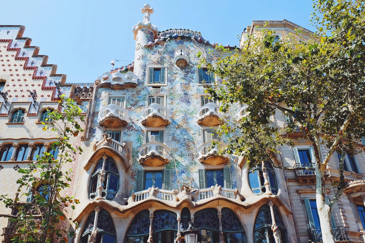 Photo 03-08-2016 10 39 50.jpg