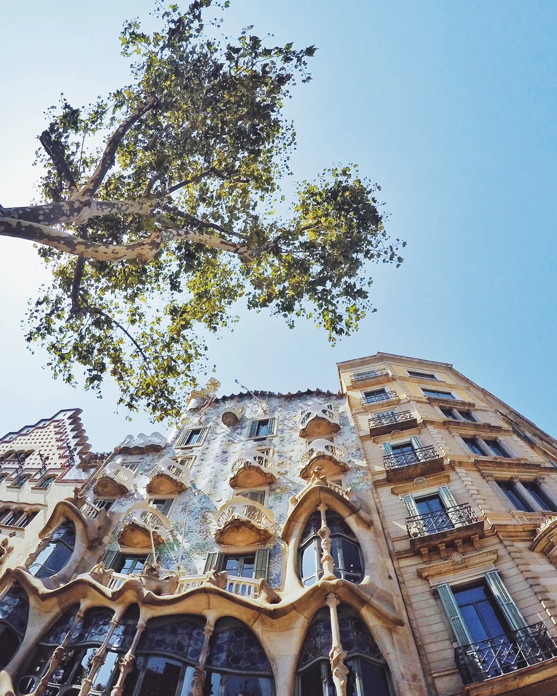 Photo 03-08-2016 11 47 21.jpg