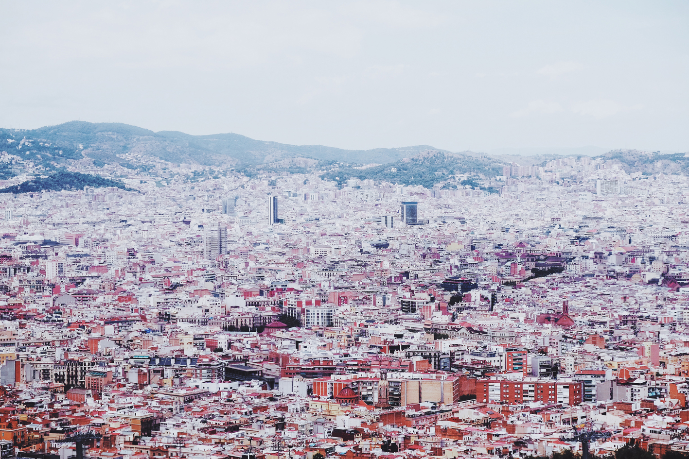 Photo 05-08-2016 13 11 57.jpg