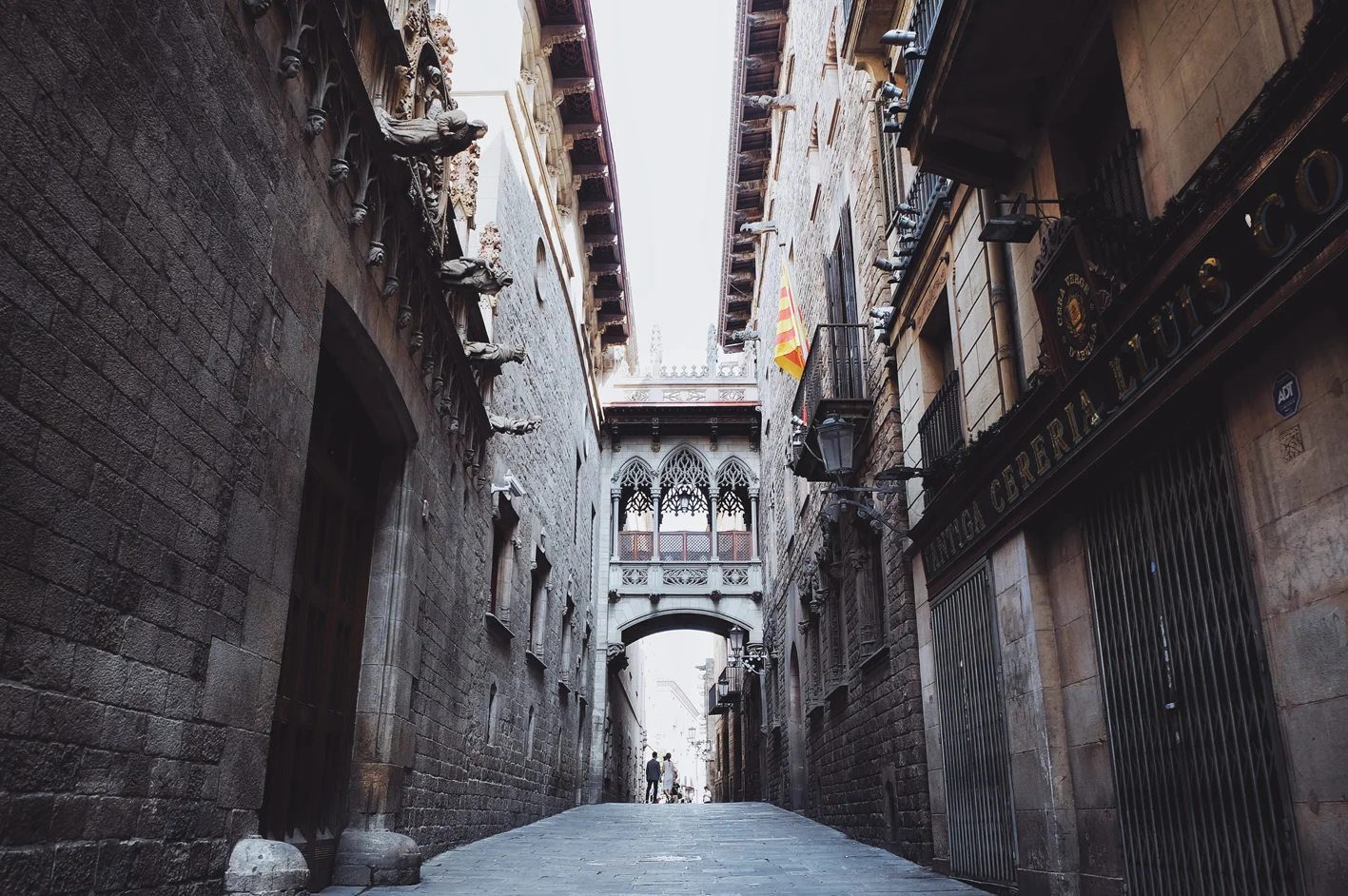 Photo 31-07-2016 09 31 04.jpg