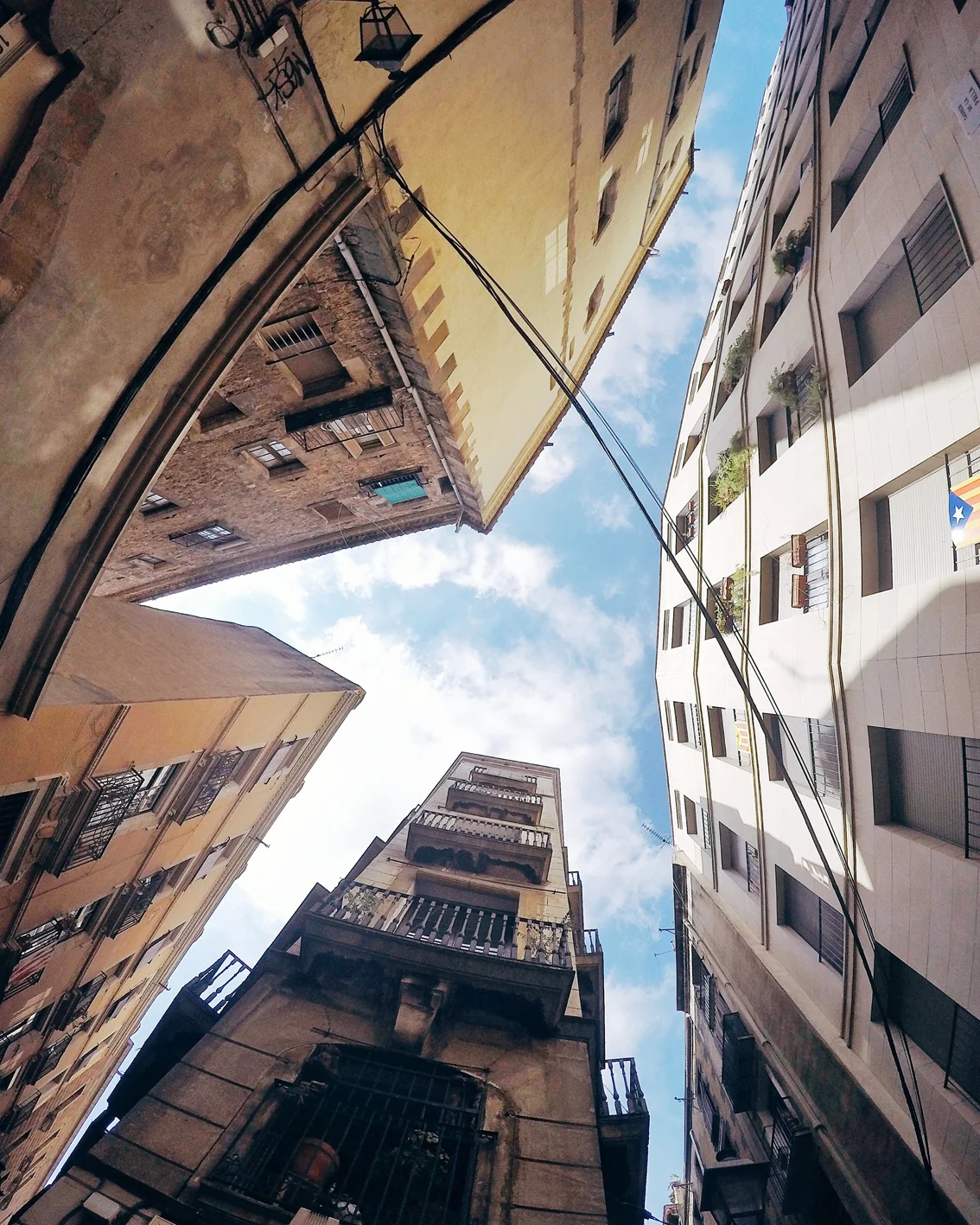 Photo 31-07-2016 10 56 33.jpg