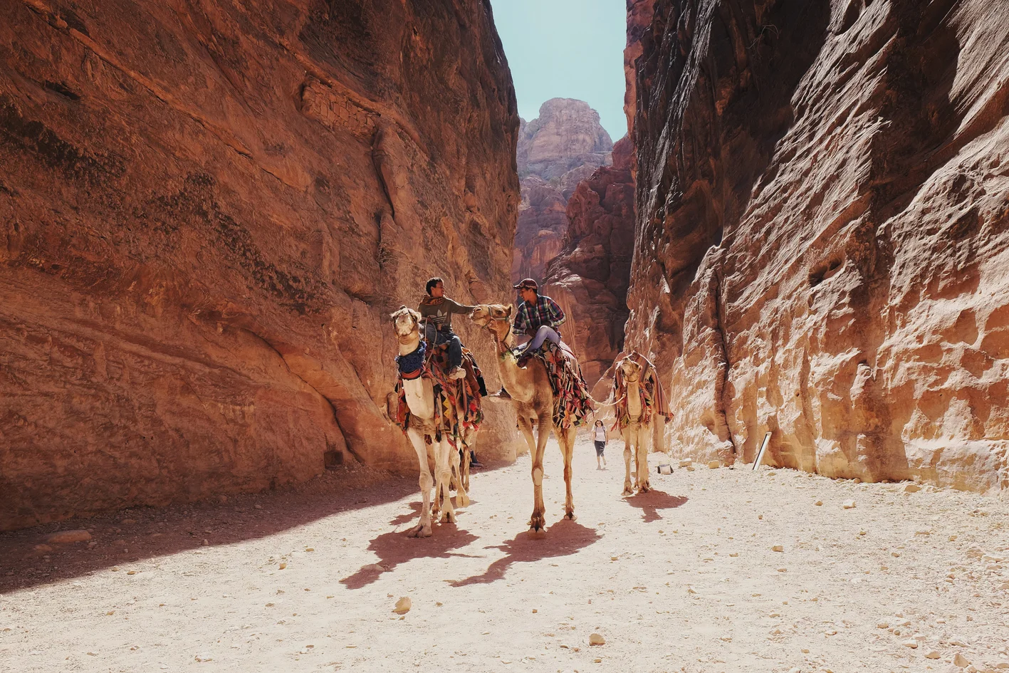 Photo 03-09-2016 08 14 15.jpg