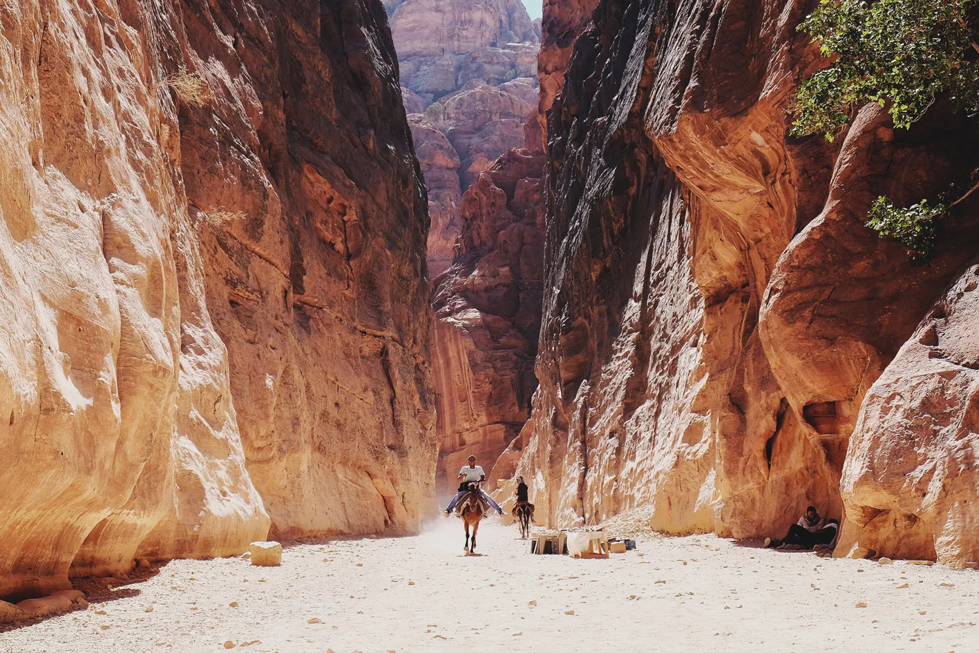 Photo 03-09-2016 08 19 46.jpg