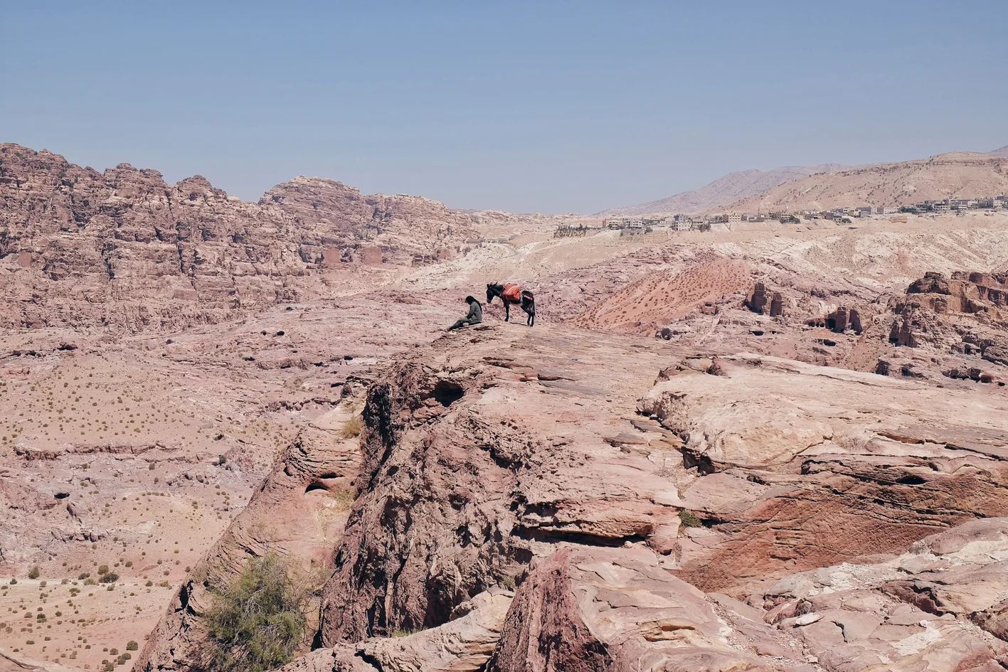 Photo 03-09-2016 09 45 19.jpg