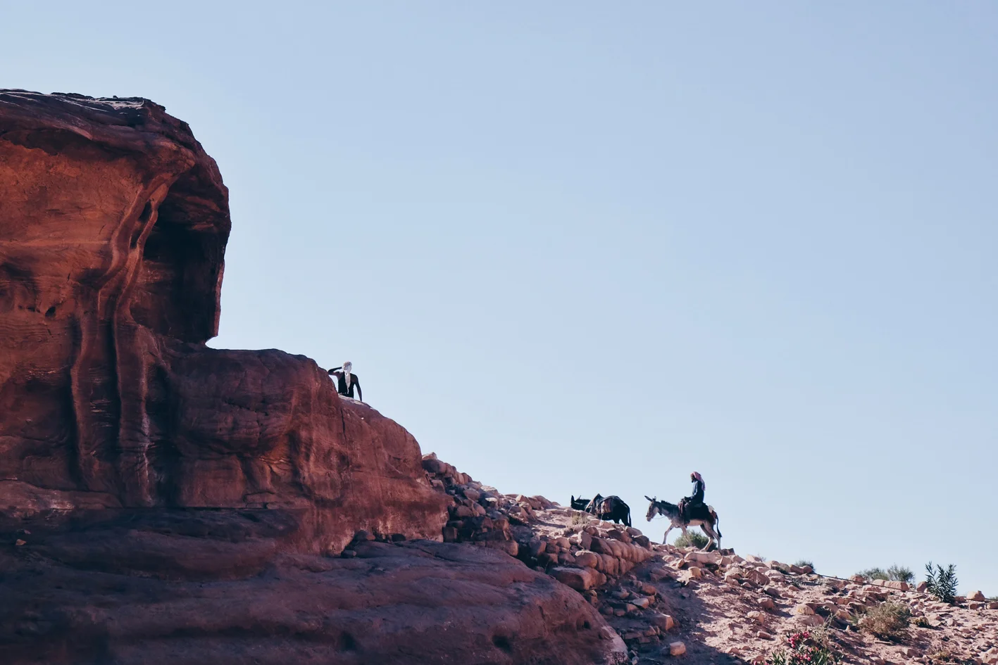 Photo 03-09-2016 14 18 08.jpg