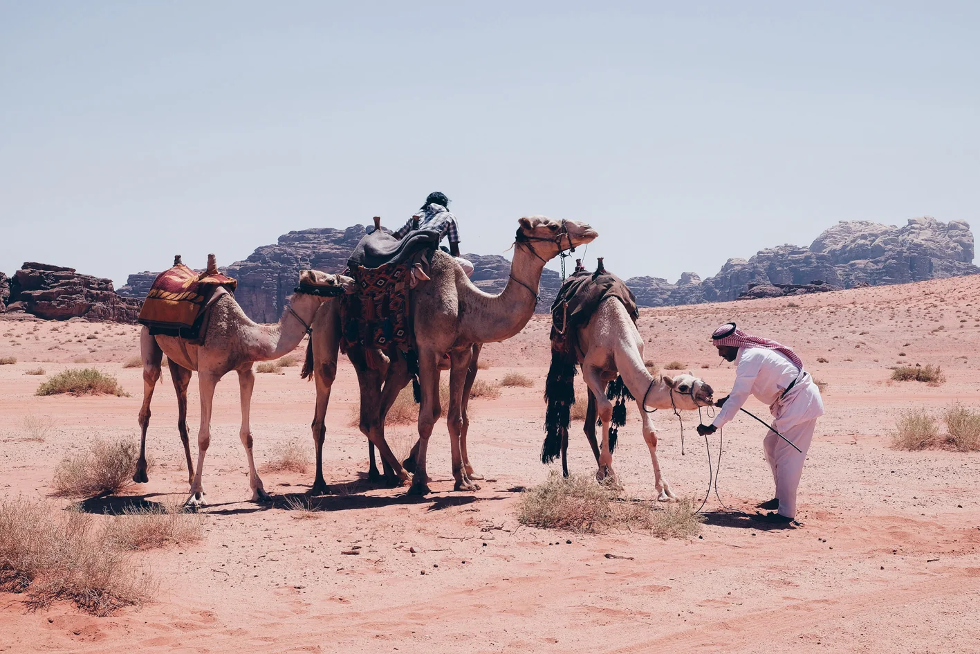 Photo 04-09-2016 10 14 49.jpg