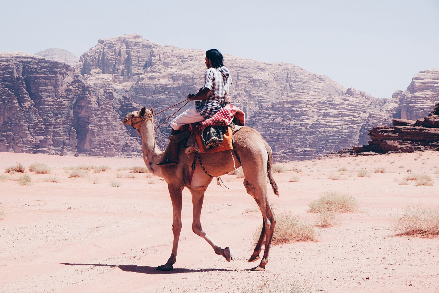 Photo 04-09-2016 10 15 02.jpg