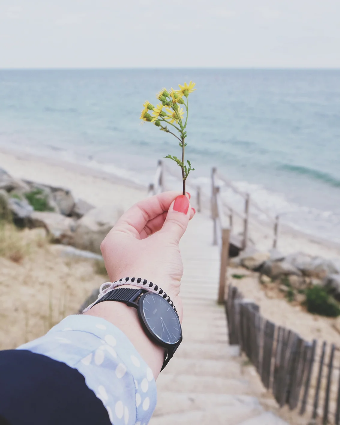 Fichier 11-07-2016 13 18 09.jpg