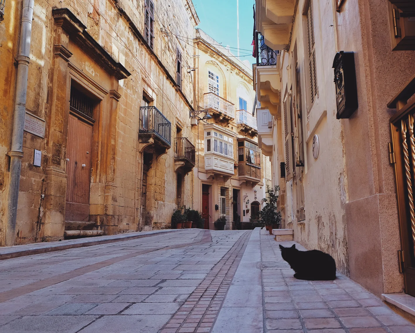 Photo 04-11-2016 11 25 56.jpg