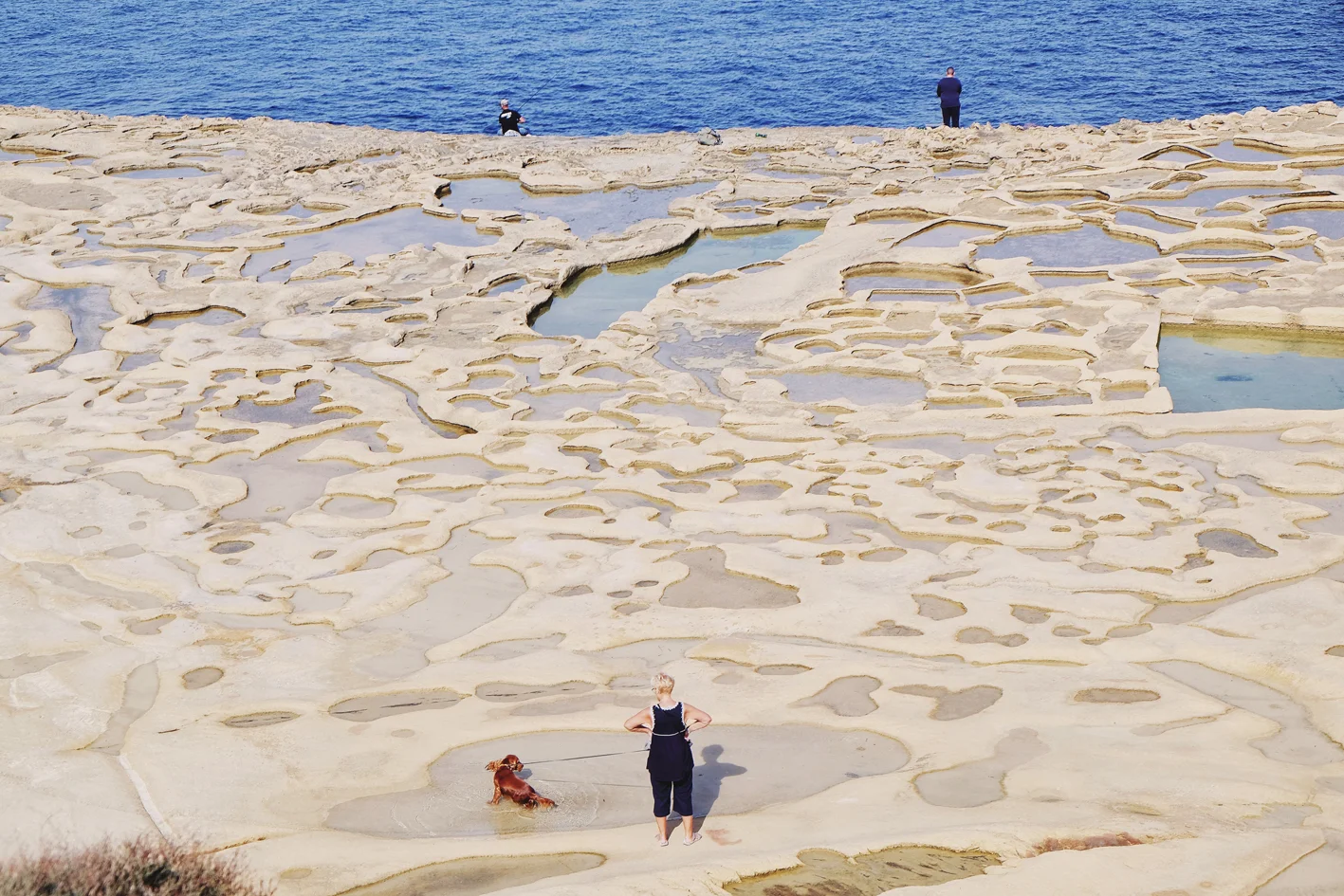 Photo 05-11-2016 11 33 49.jpg