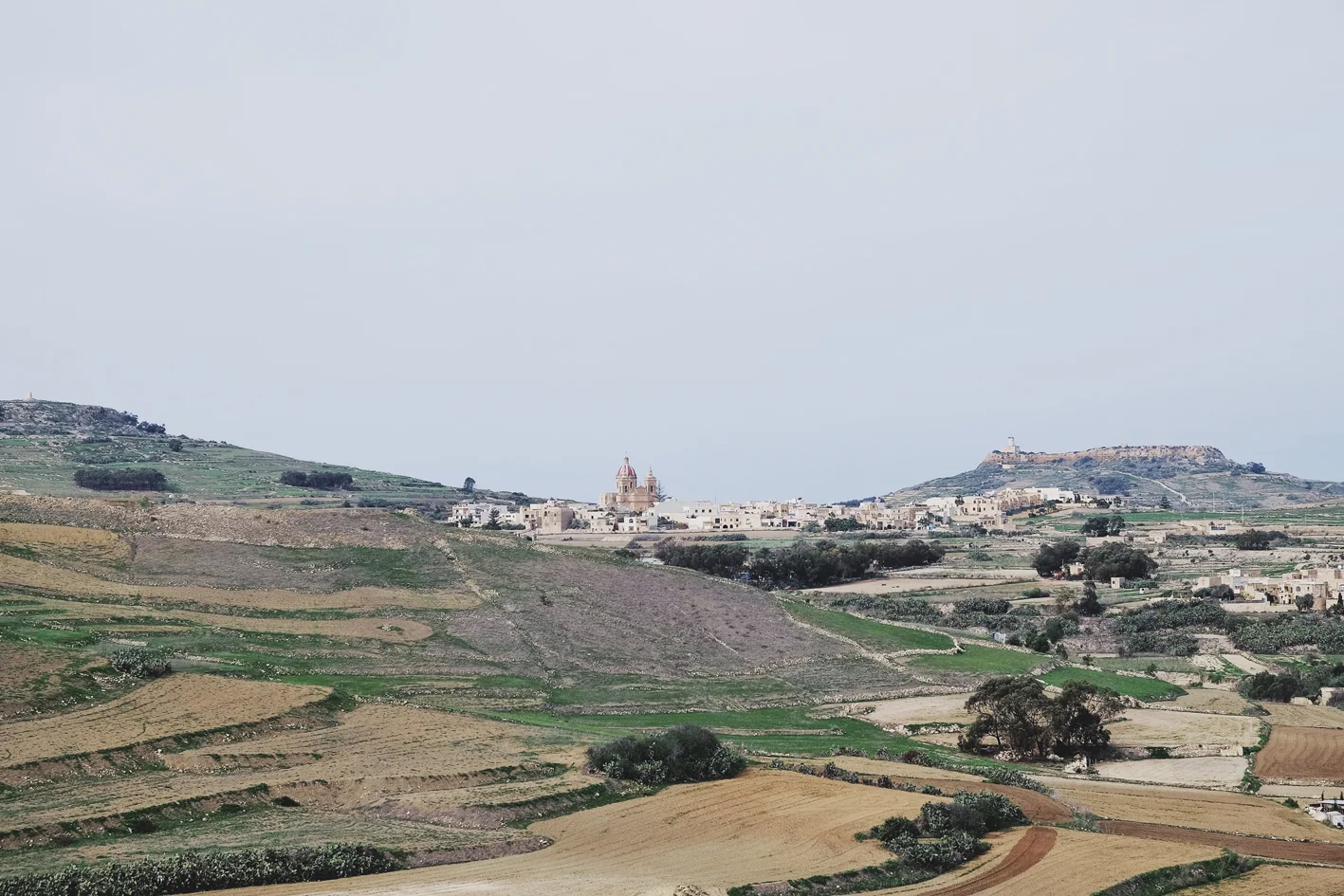 Photo 05-11-2016 12 23 55.jpg