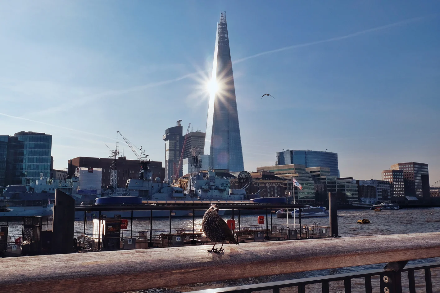 Photo 11-11-2016 13 02 17.jpg