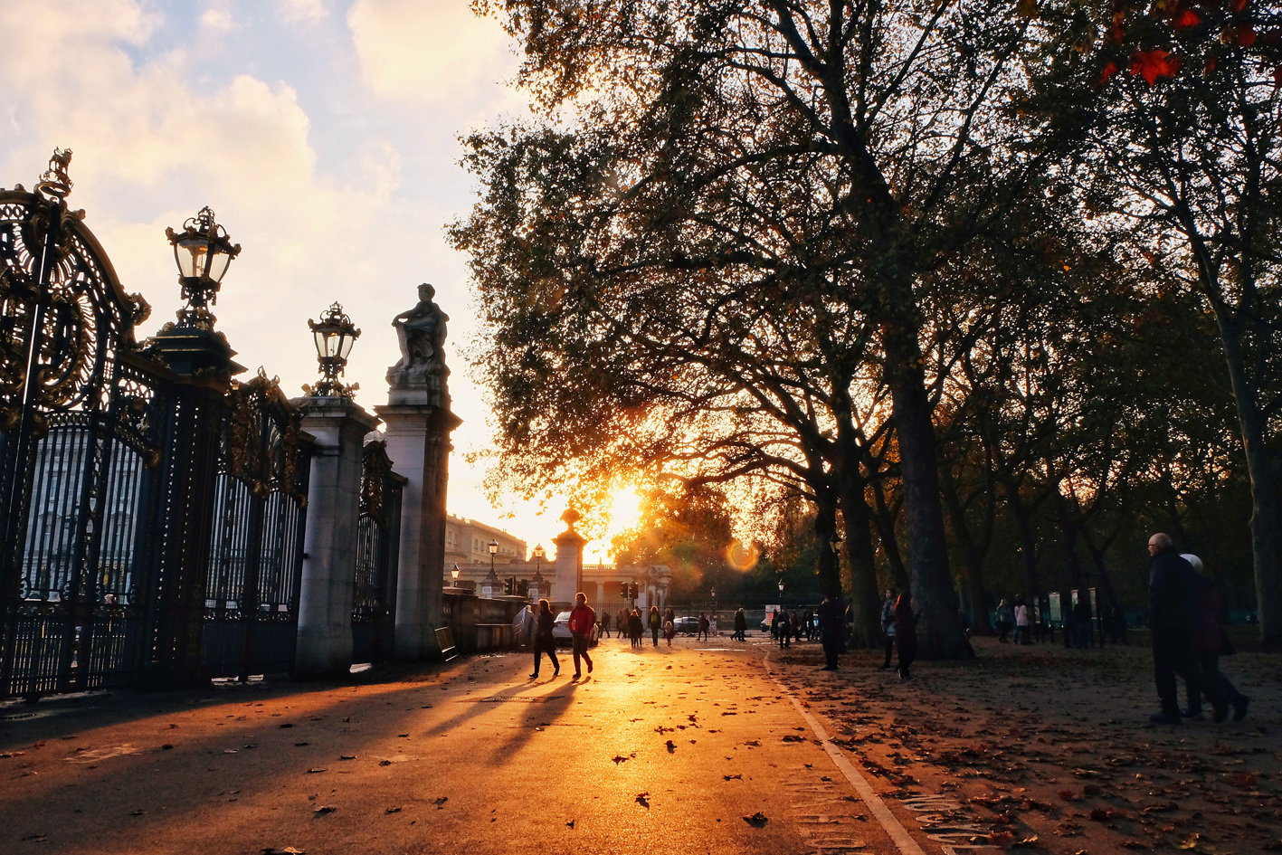 Photo 11-11-2016 16 21 30.jpg