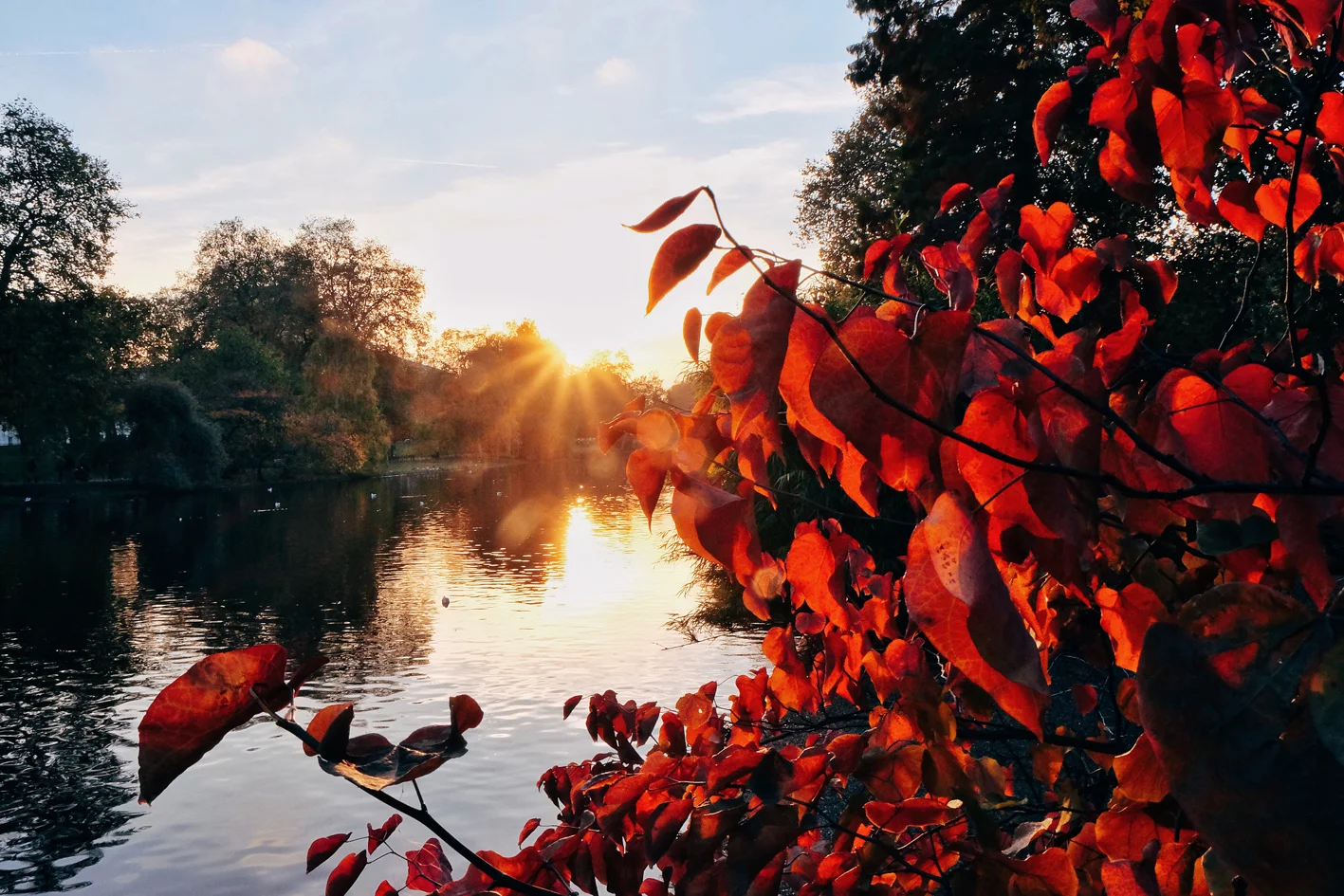 Photo 11-11-2016 16 30 20.jpg