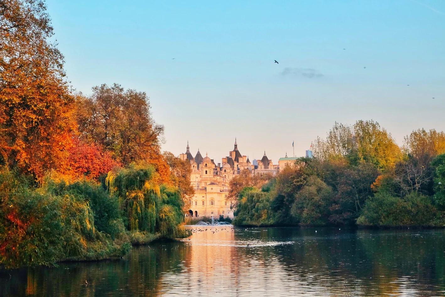 Photo 11-11-2016 16 31 03.jpg