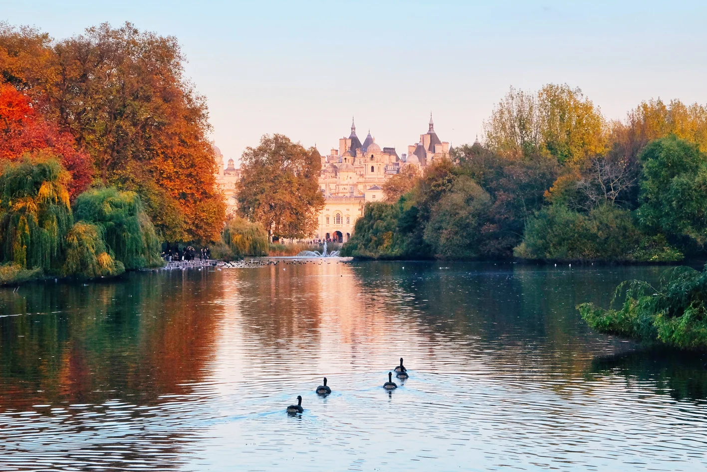 Photo 11-11-2016 16 31 55.jpg