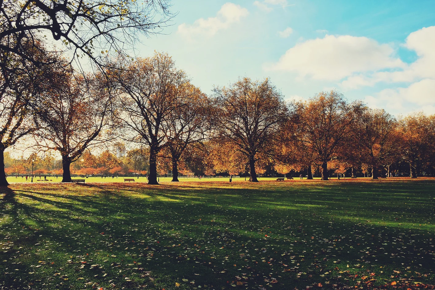 Photo 13-11-2016 11 25 54.jpg