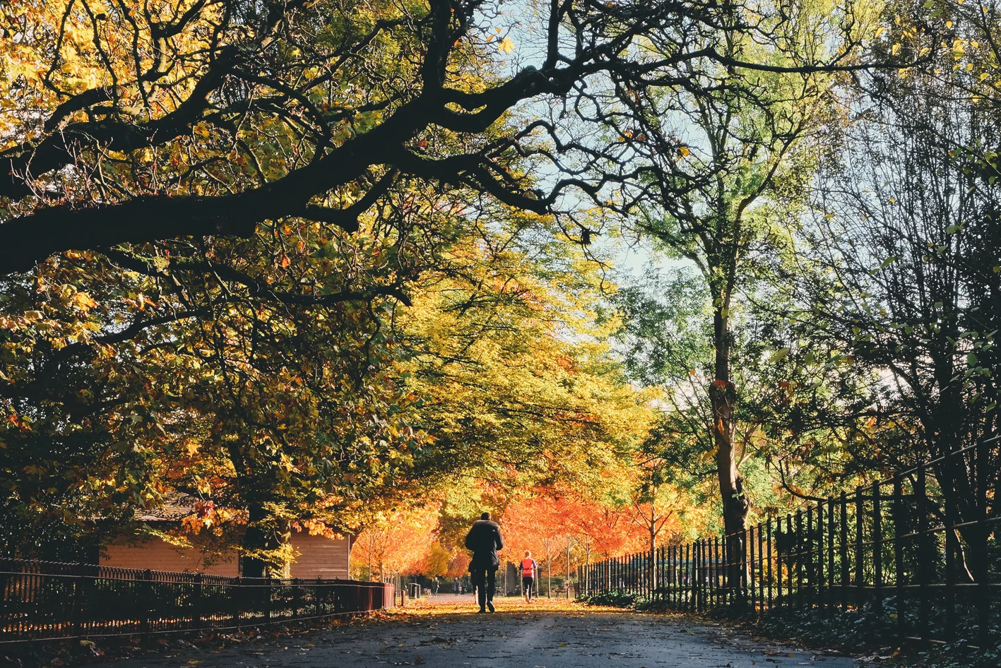 Photo 13-11-2016 11 22 24.jpg