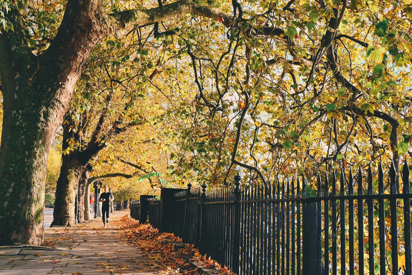 Photo 13-11-2016 12 01 46.jpg