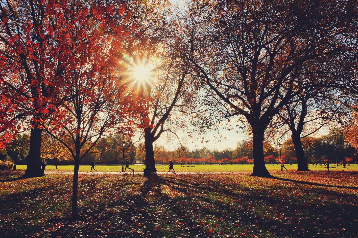 Photo 13-11-2016 11 26 56.jpg