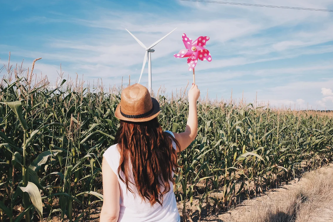 Photo 27-08-2016 16 41 18.jpg