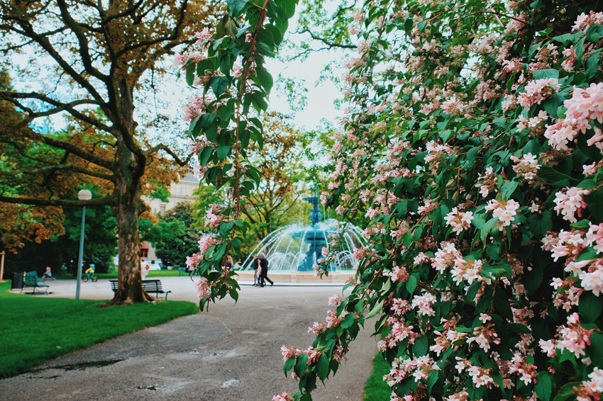 Photo 19-05-2017 15 07 42.jpg