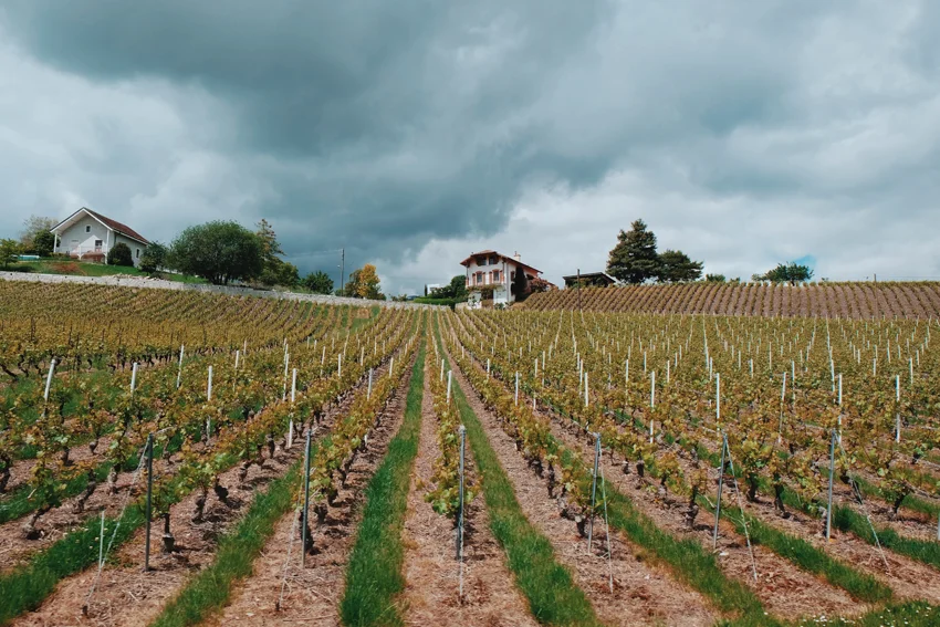 Photo 20-05-2017 12 08 16.jpg