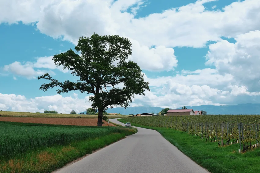 Photo 20-05-2017 12 24 52.jpg