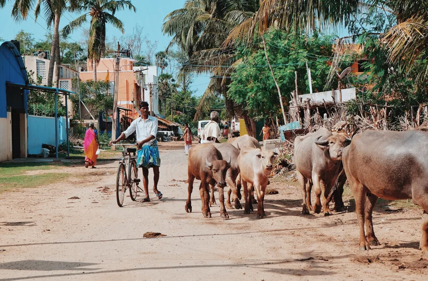 Photo 30-07-2017 05 02 15.jpg