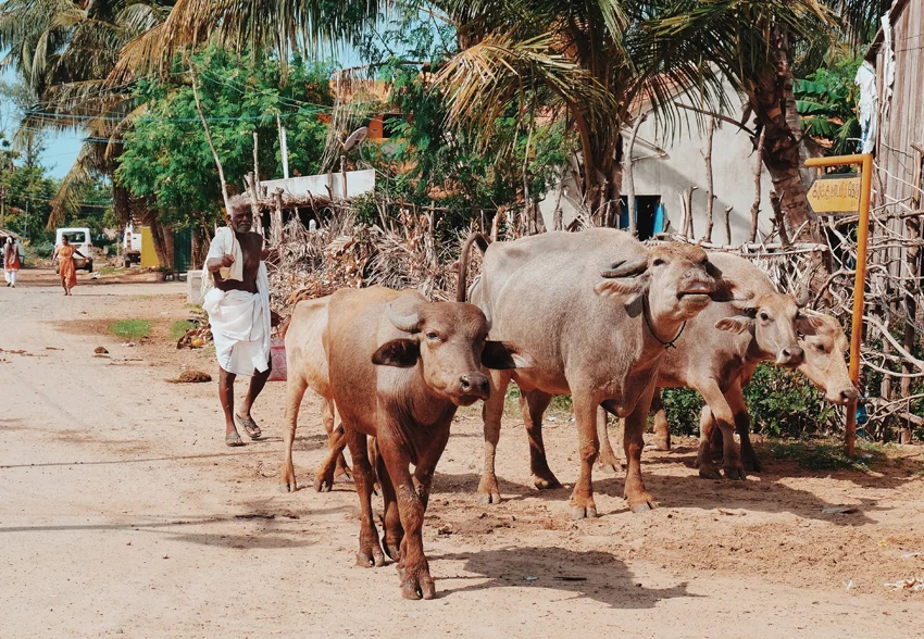 Photo 30-07-2017 05 02 25.jpg