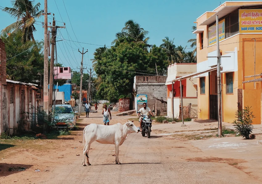 Photo 30-07-2017 05 18 28.jpg