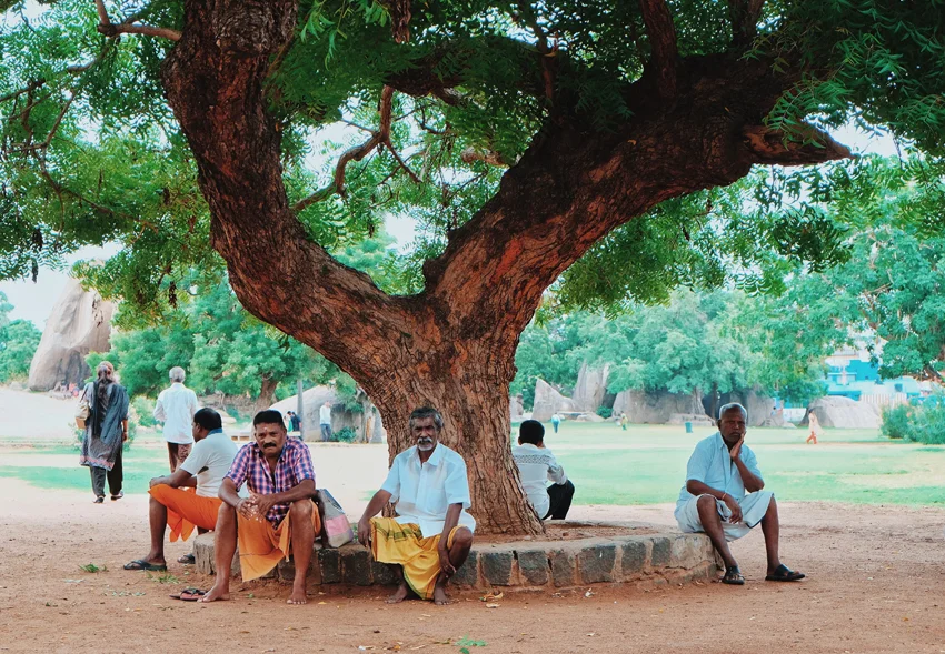 Photo 31-07-2017 05 34 18.jpg