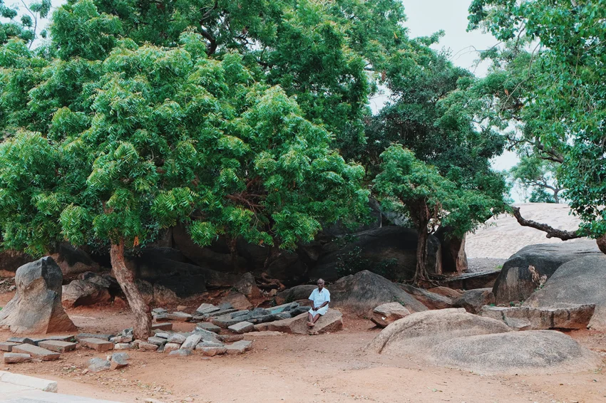 Photo 31-07-2017 06 03 07.jpg