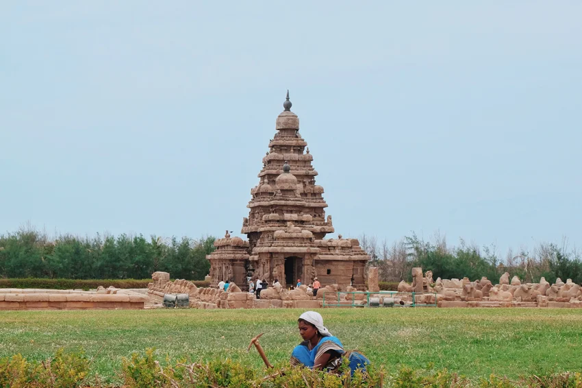 Photo 31-07-2017 07 34 19.jpg