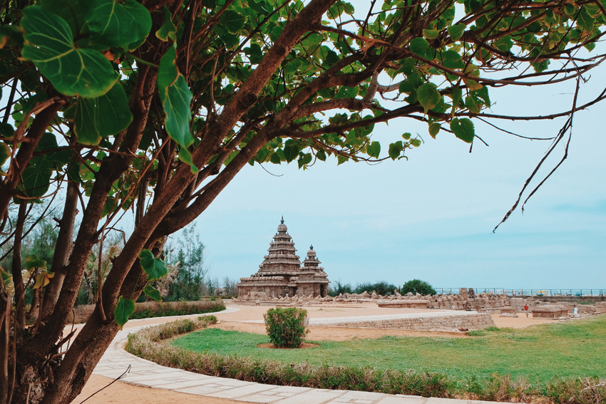 Photo 31-07-2017 07 38 05.jpg