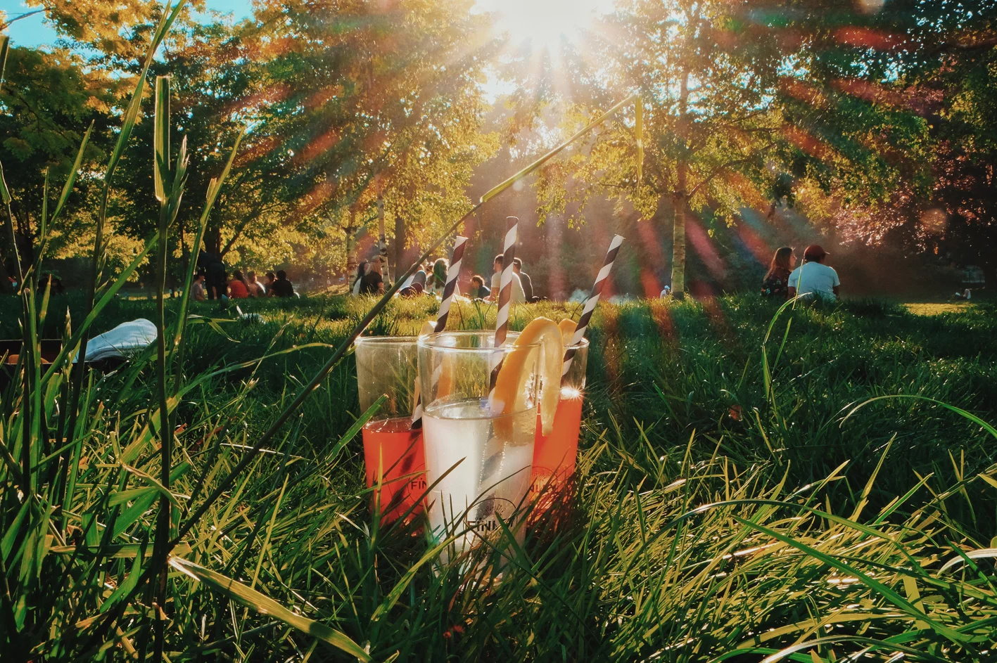 Photo 16-05-2017 18 33 12 (1).jpg