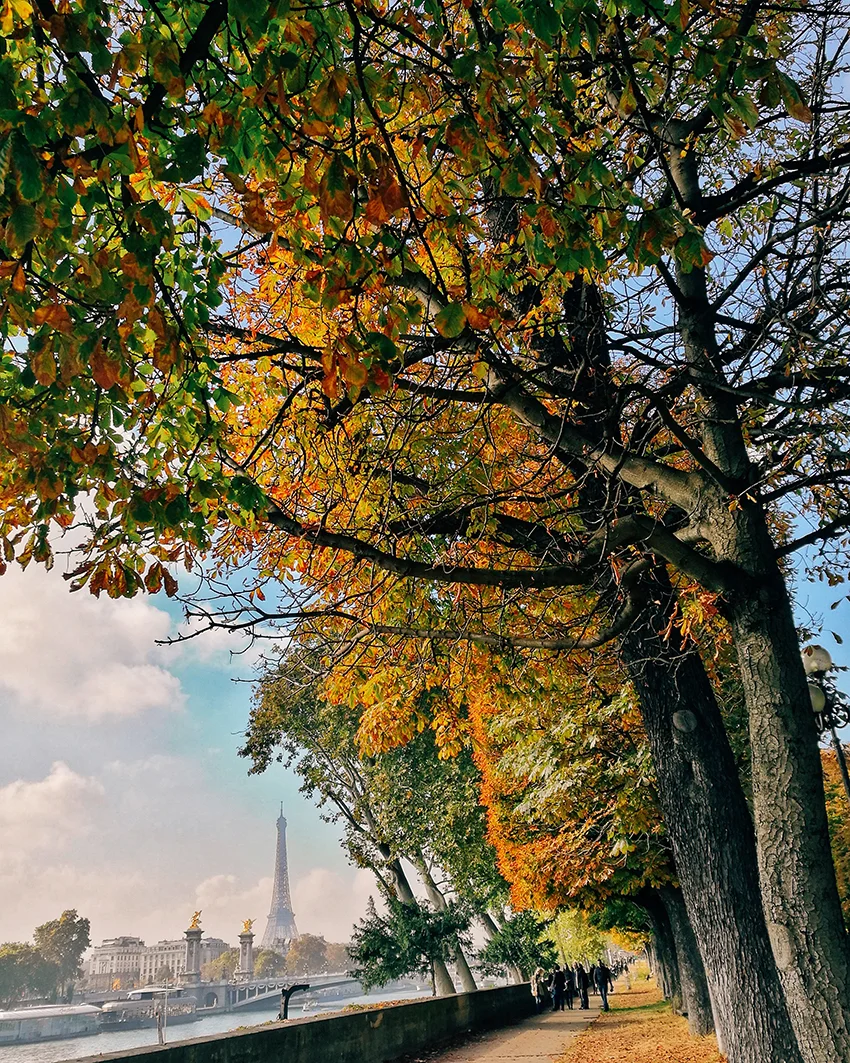 Photo 22-10-2016 13 30 57.jpg