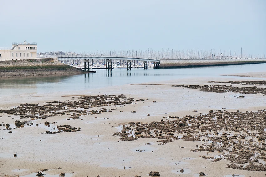 Photo 03-09-2017 08 58 42.jpg