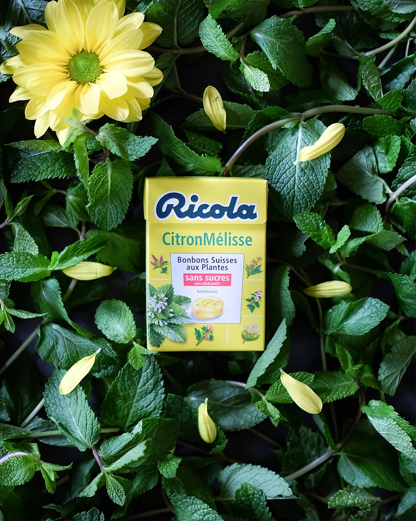 PACKHOT CITRON MELISSE.jpg