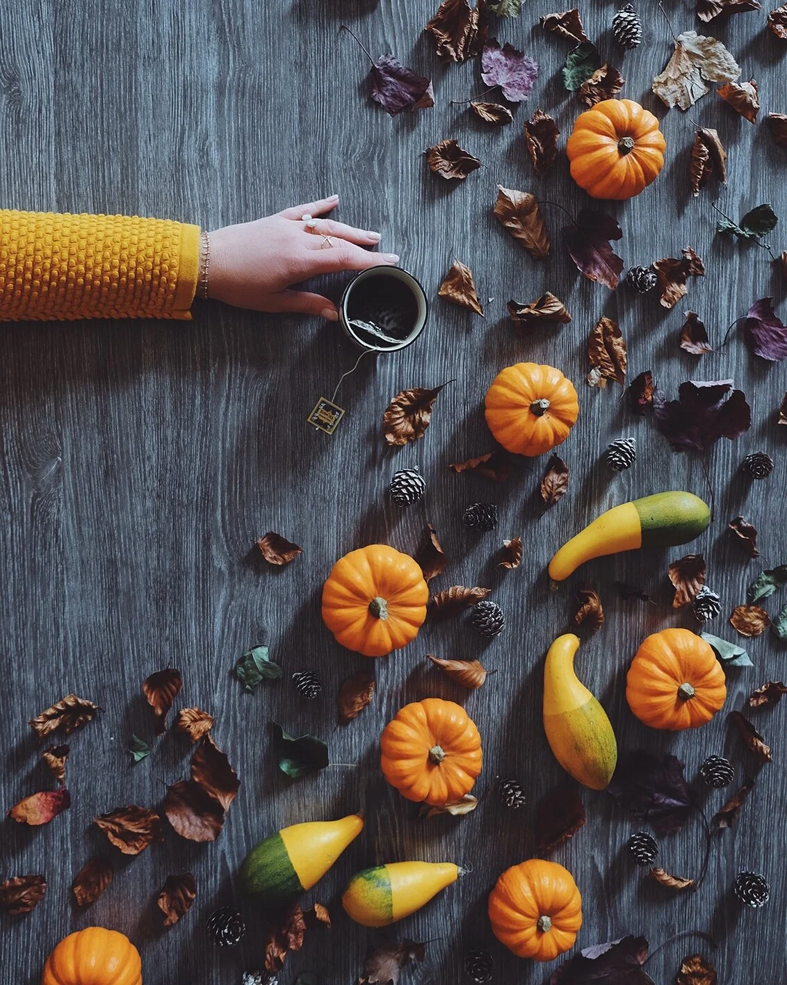 Fichier 02-11-2017 20 09 17.jpg