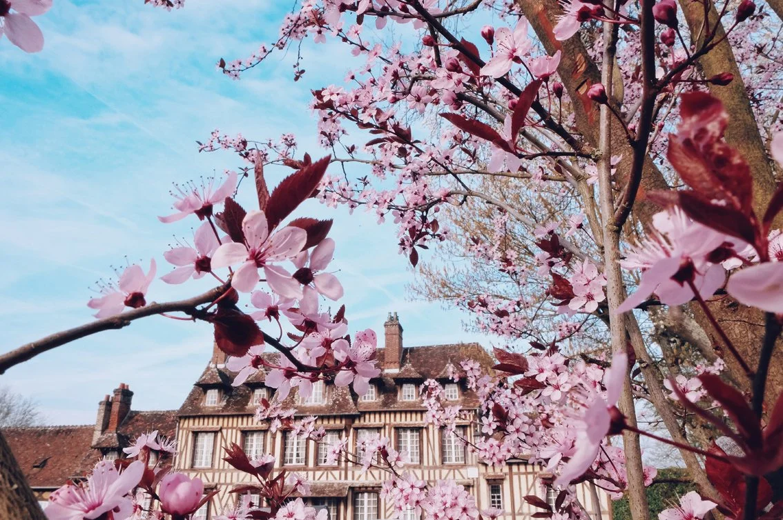 Photo 26-03-2017 17 10 51.jpg