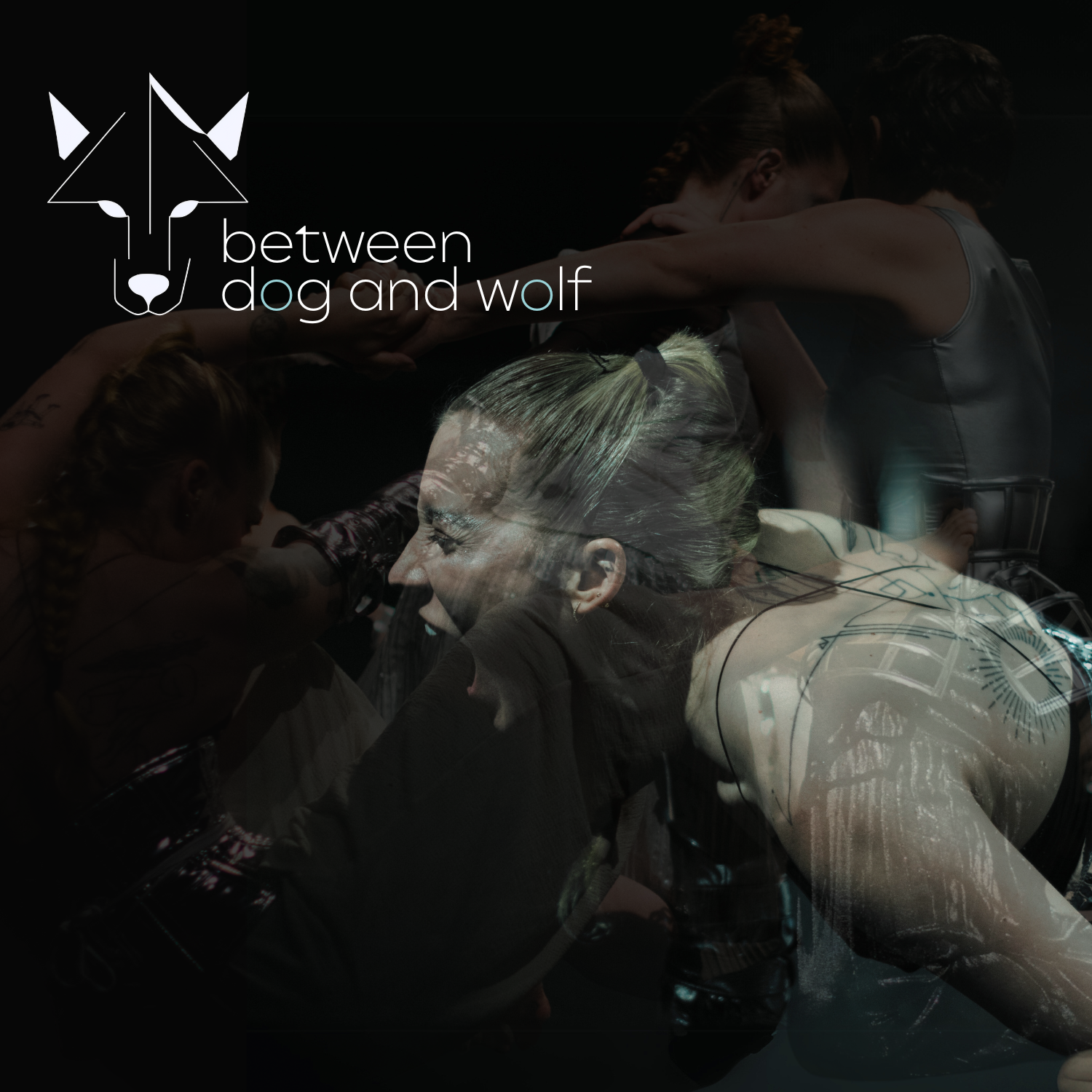 between dog and wolf PROMO IMAGE.png