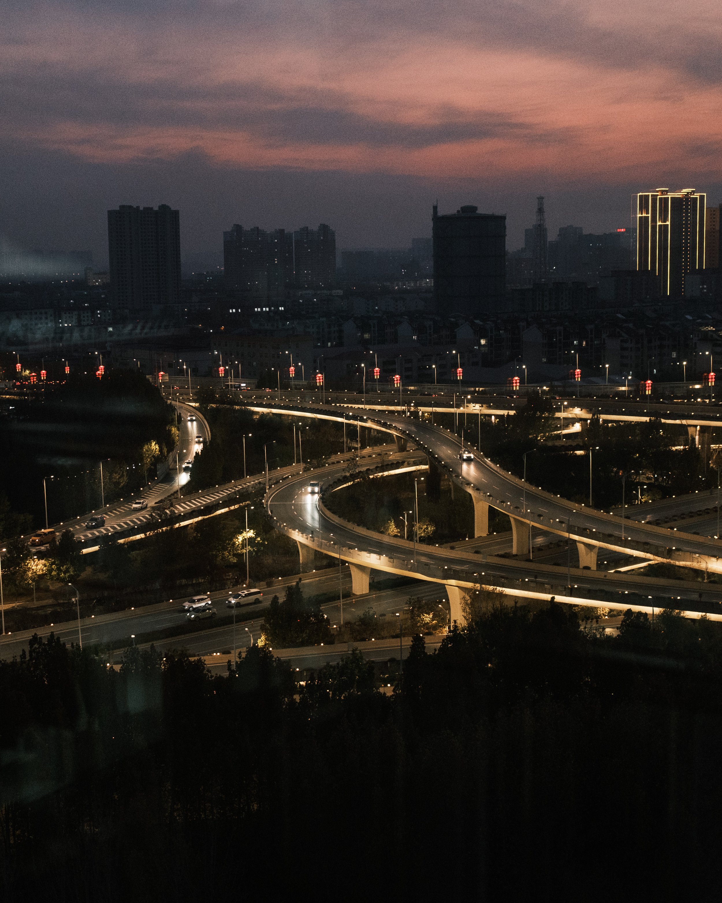 241208 Yang_Handan-1.jpg