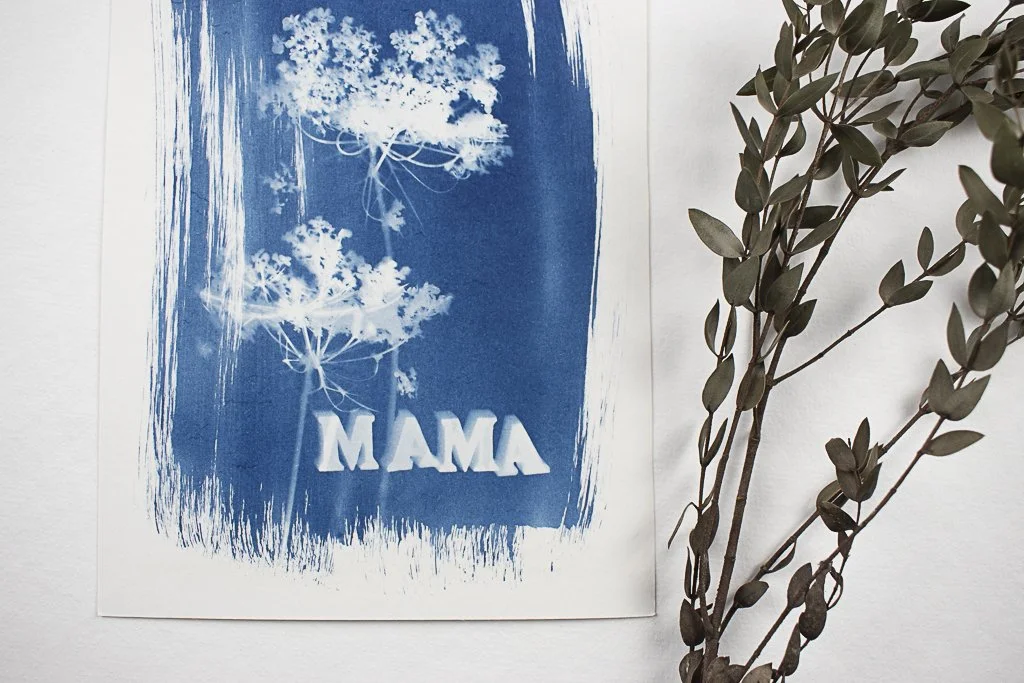 Cyanotype-jackie-partridge-017.jpg