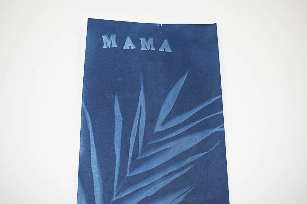 Cyanotype-jackie-partridge-243.jpg